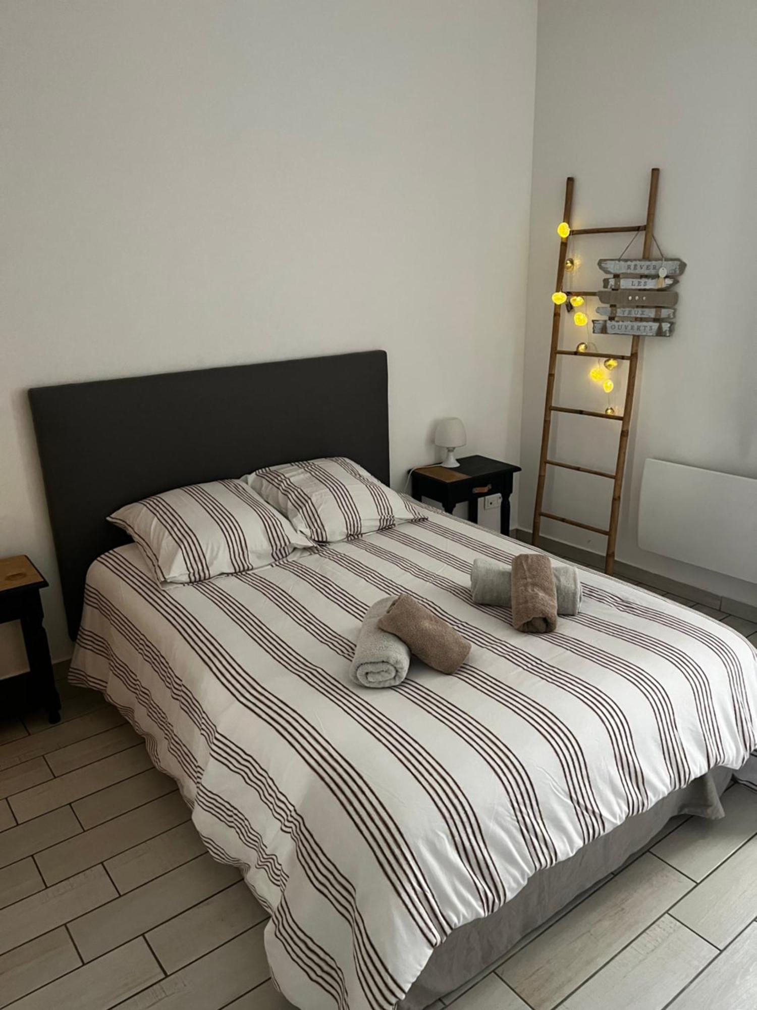 Joli Appartement Hypercentre T2, Classe Meuble De Tourisme 3 Avec Parking Gratuit Béziers Exteriér fotografie